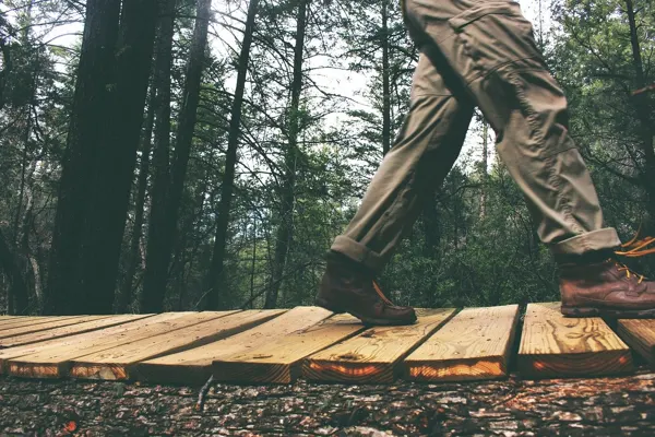 Cargo joggers